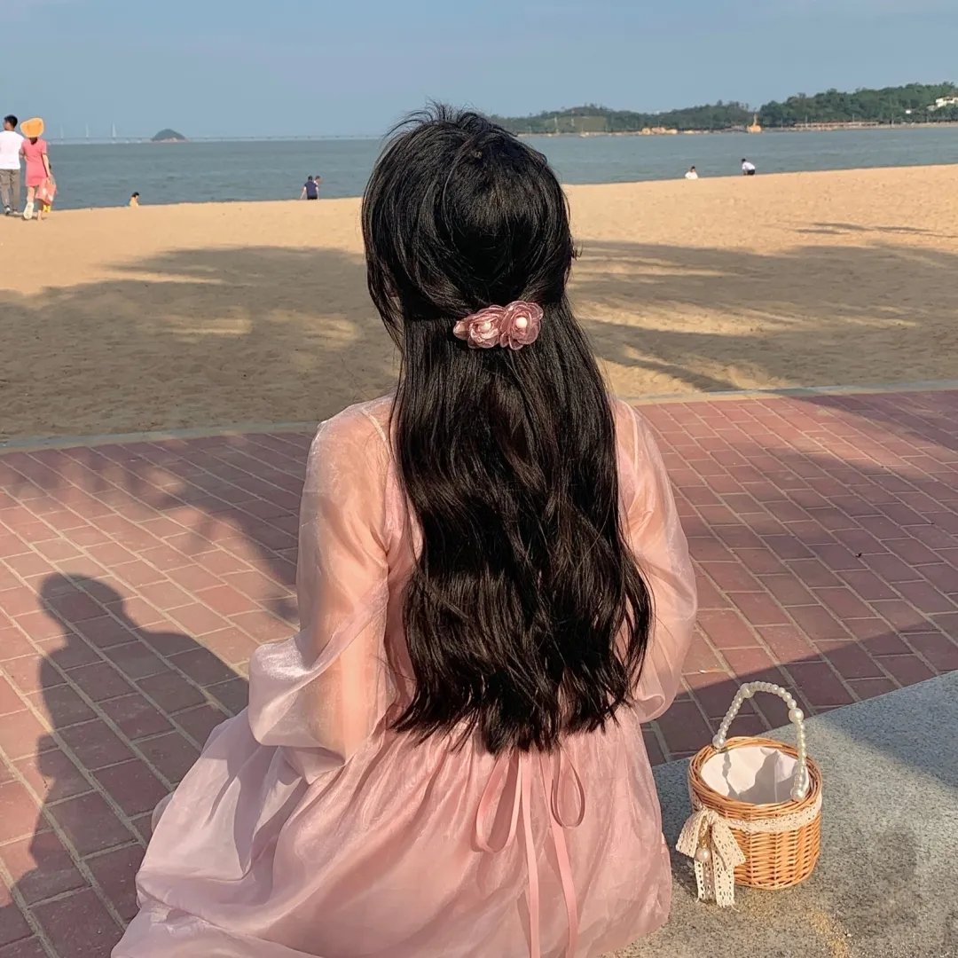 盗贼泰瑞莎